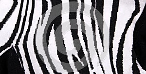 Knitted Zebra Animal Print Pattern