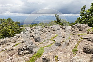 The knob stone ground at Phu Hin Rong Kla national park