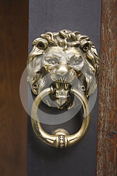 Knocker shaped metal Leon,
