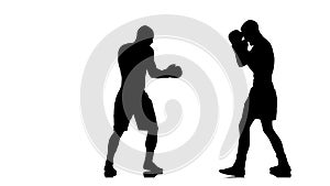Knockout boxer. Black silhouette on a white background