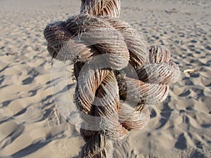 Knot