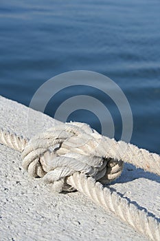 Knot