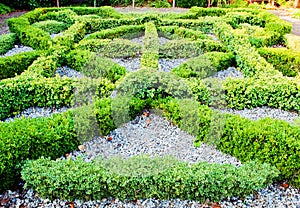 Knot garden