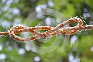 Knot Loop of a thick thread