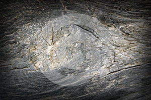 Knot on oak wood