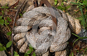 Knot of old rope