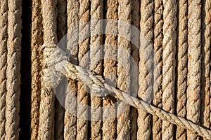 Knot in Rope