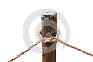 Knot of rope tied around wooden stake.