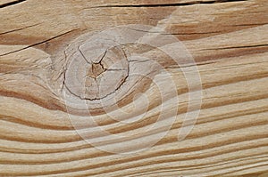 Knot in wood