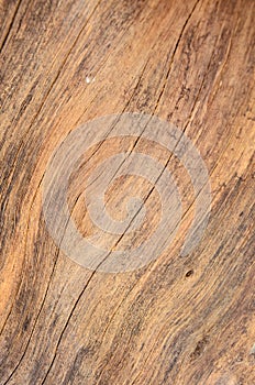 Knot wood Background
