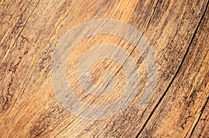 Knot wood Background