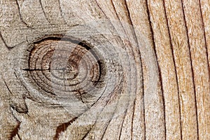 Knothole closeup in a wooden pine fence.