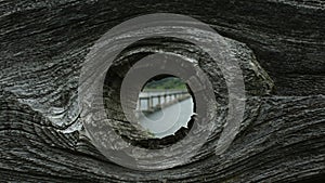 Knothole
