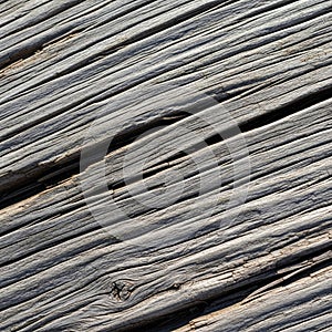 The knots are circular with visible cracks adding character and depth