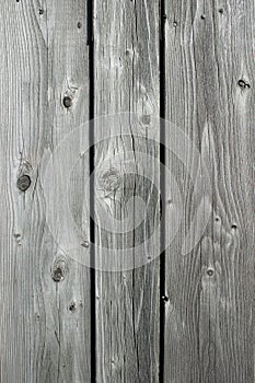 Knotty wood background photo