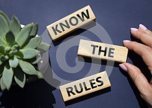 Know the rules symbol. Wooden blocks with words Know the rules. Beautiful deep blue background with succulent plant. Businessman