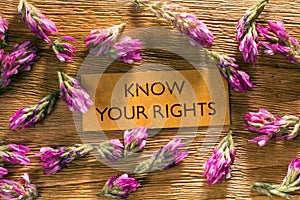 KNOW YOUR RIGHTS