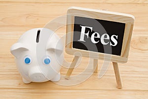 Knowing your banking fees with piggy bank photo