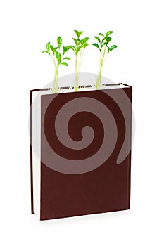 Knowledge concept with book and seedlings