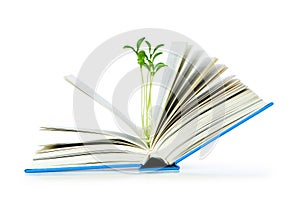 Knowledge concept with books