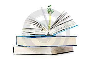 Knowledge concept with books