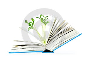 Knowledge concept with books