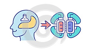 Knowledge transfer from brain to brain, illustrating learning or concepts. vector design Generative AI