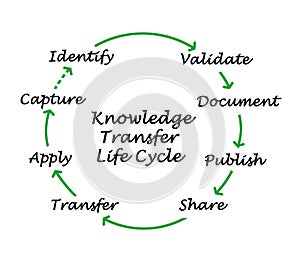 Knowledge Transfer Life Cycle