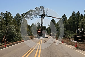 Knuckleboom Loader moves tree