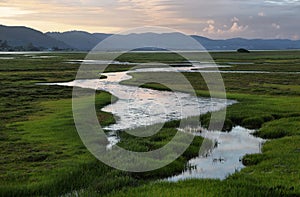 Knysna wetlands at sunset