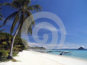 Ko Phi Phi Island near Phuket - Thailand