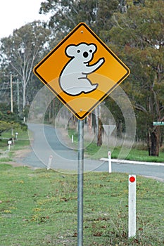 Koala ahead sign