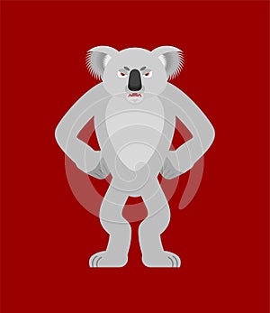 Koala angry. koala bear evil. Beast aggressive. Vector illustration