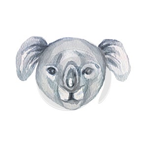 Koala Animals cartoon cute muzzles scandinavian style. Hand-drawn illustration of children