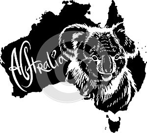 Koala as Australian symbol photo