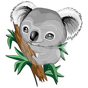 Koala Baby Cute Cartoon Character Vector Illustration photo