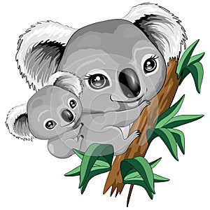 Koala Baby and Mother on Eucalypt Branch Cute Characters Vector Illustration photo