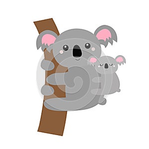 Koala bear face head hanging on the tree branch. Mother and baby. Gray silhouette. Kawaii animal. Cute cartoon funny character.