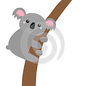 Koala bear hanging on the tree branch. Gray silhouette. Kawaii animal face head. Cute cartoon funny baby character. Notebook cover