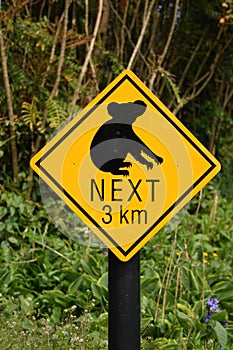 Koala bear sign