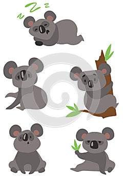 Koala bears cartoon set in flat style