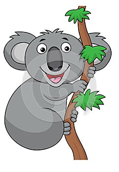 Koala cartoon