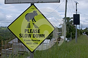 Koala crossing warning sign