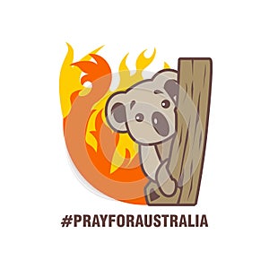 A Koala with Fire Burning background, Vector and Illustration