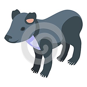 Koala icon isometric vector. Cute bear