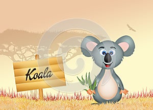 Koala