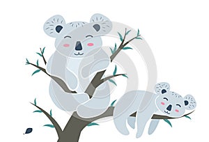 Koala mom on a eucalyptus branch with a baby in her paws. Koala bear character with cub on eucalyptus tree. Vector illustration