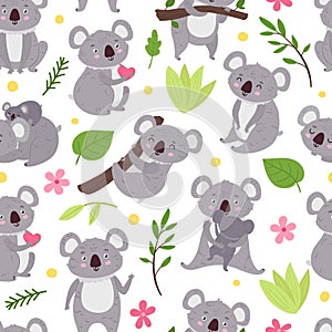 Koala pattern. Seamless bear animals with plant leaves and branches. Print vector illustration