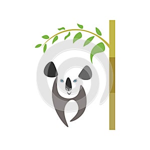 Koala under treeillustration vector