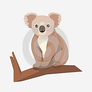 koala vector flat minimalistic asset isolated illustration